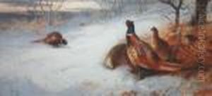 Pheasants by Archibald Thorburn