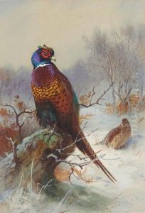Pair Of Pheasants