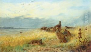 Call Of The Grey Partridge