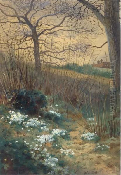 An Early Spring Morning - view 1