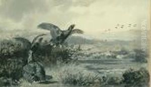 'grouse' - Out Of Cover by Archibald Thorburn