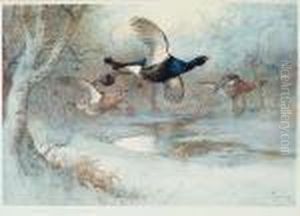 "blackcock Through The Silver Birches" And "snipe Probing" by Archibald Thorburn