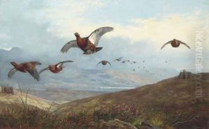 Grouse Shooting by Archibald Thorburn