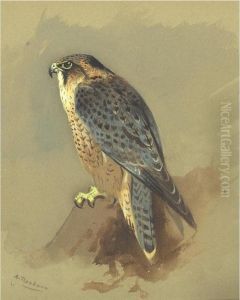 Peregrine Falcon by Archibald Thorburn