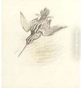 Snipe Drumming by Archibald Thorburn