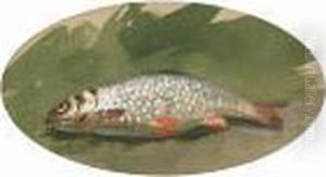 A Study Of Chubb, A Pair by Archibald Thorburn