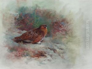 A Grouse A Grouse