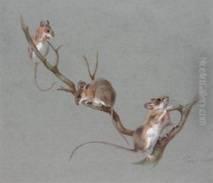 Three Field Mice