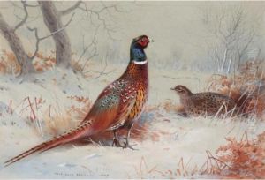 Pheasants In The Snow