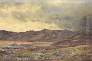 Near Aberfeldy, Perthshire Near Aberfeldy, Perthshire