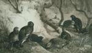 Black Game And Grouse by Archibald Thorburn