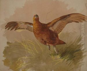 Grouse In Flight by Archibald Thorburn