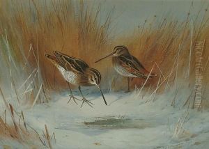 The Frost-bound Spring