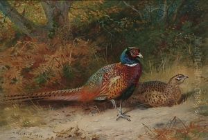 Pheasants In A Wood, A Cock And A Hen
