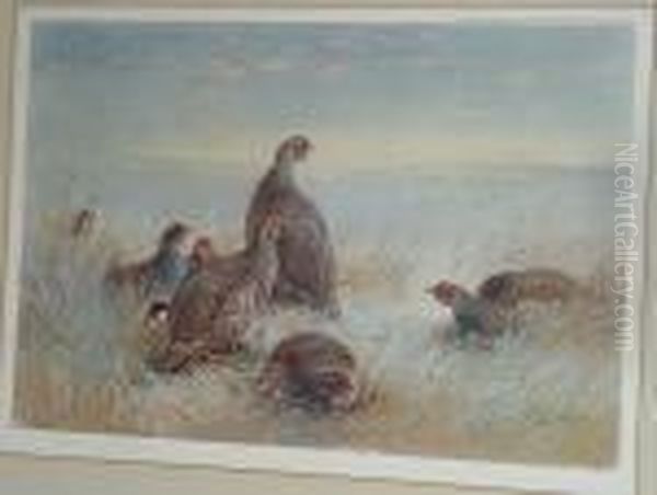 Frosty Morning - view 1