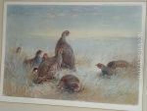 Frosty Morning by Archibald Thorburn
