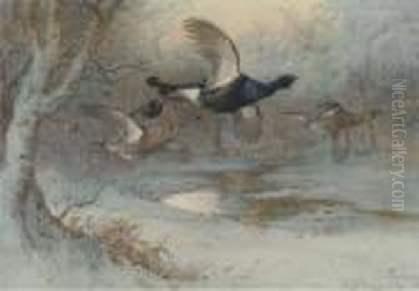 Grouse In Long Grass; And Another Similar - view 1