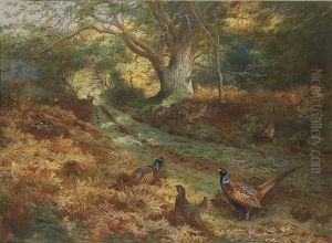 The Bridle Path