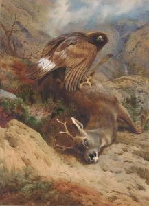 The Lost Roe by Archibald Thorburn