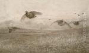 Grouse In Flight by Archibald Thorburn