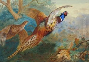 Flushed Pheasants, Autumn by Archibald Thorburn
