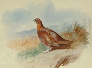 The Sentinel by Archibald Thorburn
