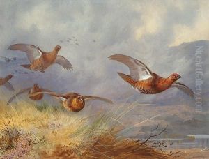 Grouse In Flight Accross An Extensive Highland Landscape by Archibald Thorburn