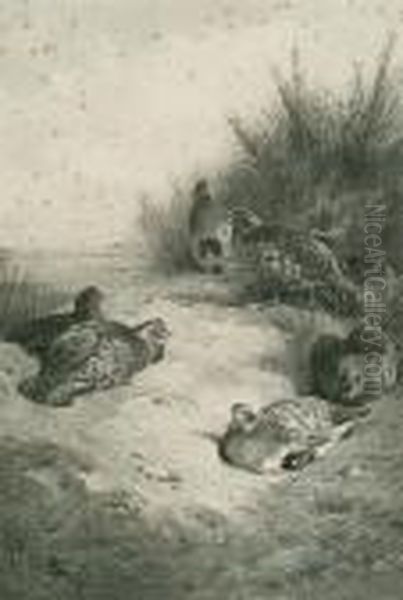 Partridge In Cover - view 1