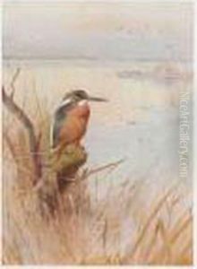 A Kingfisher; A Jay