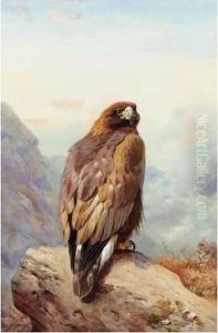 Golden Eagle by Archibald Thorburn