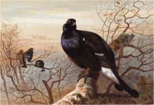 The Evening Roost, Black Game by Archibald Thorburn