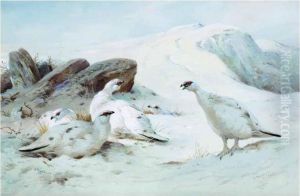 Ptarmigan In The Snow