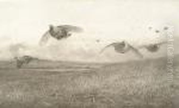 Partridge - view 1