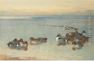 Teal And Widgeon by Archibald Thorburn