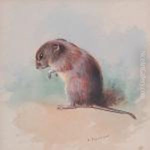 Field Mouse by Archibald Thorburn
