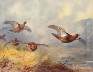 Grouse In Flight by Archibald Thorburn