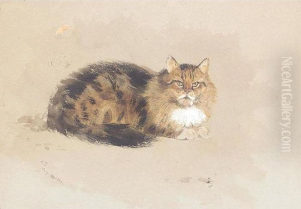 Study Of A Cat - view 1