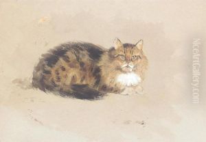 Study Of A Cat by Archibald Thorburn