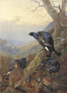 Black Cock And Grey Hen, On A Rowan Tree by Archibald Thorburn