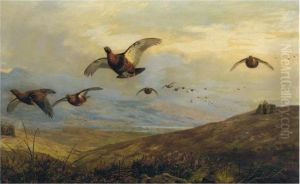 On The Moors