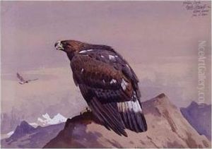 Golden Eagle by Archibald Thorburn