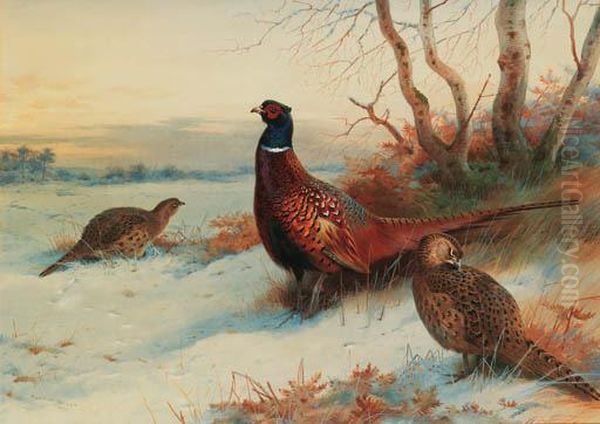 A Cock And Two Hen Pheasant In A Winter Landscape - view 1
