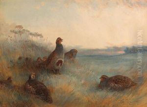 Partridges 'chill Hoar Frost At Dawn'