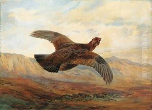 A Red Grouse In Flight Above Moorland