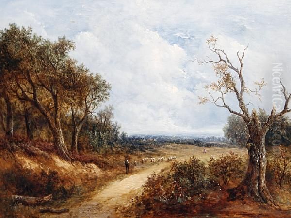 Driving Sheep - view 1
