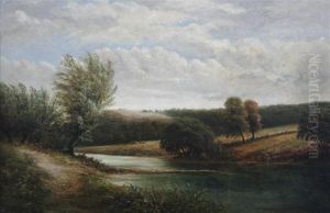 River Landscape River Landscape
