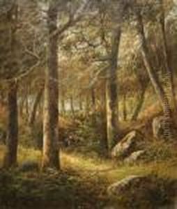 In The Woods