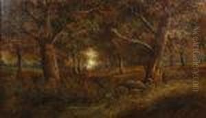 Figures In A Wood Figures In A Wood