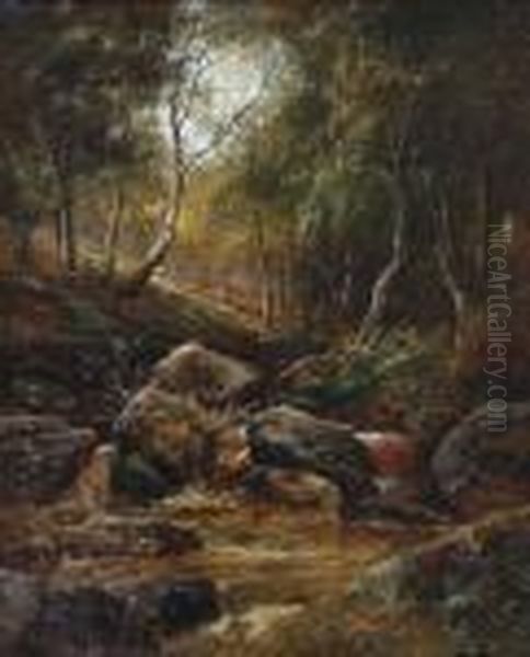 A Woodland Stream - view 1