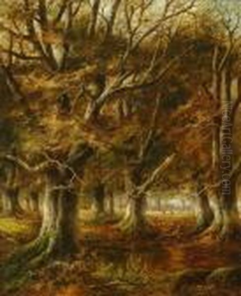 Faggot Gathers In Awooded Landscape - view 1